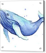 Humpback Whale Watercolor Acrylic Print