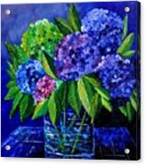 Hydrangeas 88 Acrylic Print