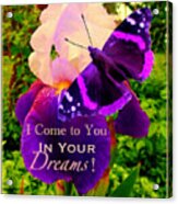 I Come To You In Your Dreams With Text Acrylic Print