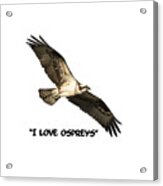I Love Ospreys 2016-1 Acrylic Print