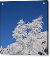 Ice Crystals Ute Pass Cos Co Acrylic Print