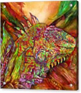 Iguana Hot Acrylic Print