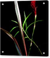 Ikebana Acrylic Print