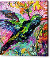 Impressionist Hummingbird Oil  Painting Acrylic Print