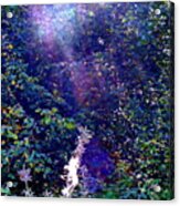 In The Hedgerow Acrylic Print