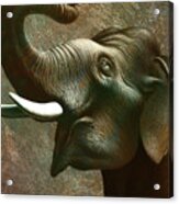 Indian Elephant 2 Acrylic Print