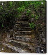 Instep With Nature V53 Acrylic Print