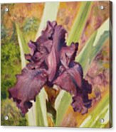 Iris Flower Acrylic Print