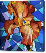 Iris Flower Acrylic Print