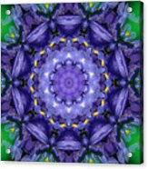 Iris Kaleidoscope Acrylic Print