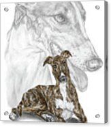 Irresistible - Greyhound Dog Print Color Tinted Acrylic Print