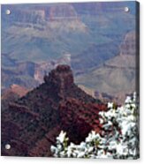 Grand Canyon Oneill Butte Acrylic Print