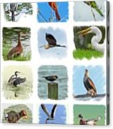 Isles Birds Collage Acrylic Print