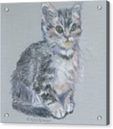 Jimmy The Cat Acrylic Print