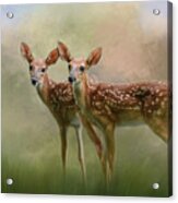 Joy Times Two Deer Art Acrylic Print