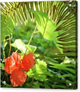 Jungle Begonia Acrylic Print