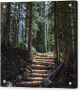 Just Another Stairway To Heaven Acrylic Print