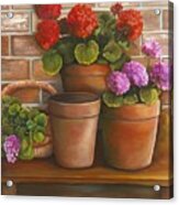 Just Geraniums Acrylic Print