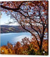 Keuka Lake Vista Acrylic Print