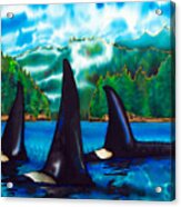 Killer Whales Acrylic Print