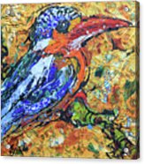 Kingfisher_1 Acrylic Print