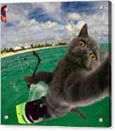 Kite Surfing Cat Selfie Acrylic Print
