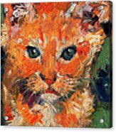 Kitten Orange Tabby Oil Painting Acrylic Print