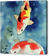 Koi Fish 3 Acrylic Print