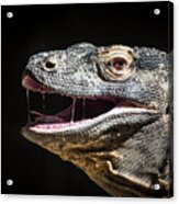 Komodo Dragon Profile Acrylic Print