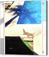 La Casita Playa Hermosa Puntarenas Costa Rica - Iguanas Poolside Greeting Card Poster Acrylic Print