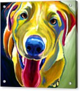 Lab - Spencer Acrylic Print