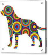 Labrador Retriever Acrylic Print