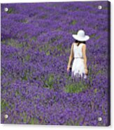 Lady In Lavender Field Acrylic Print