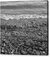 Lake Ontario B W 1 Acrylic Print