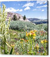 Lake Winnemucca Wildflowers - Carson Pass - California Acrylic Print