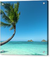 Lanikai Hawaii Acrylic Print