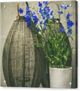 Lanterns And Blue Flowers Acrylic Print
