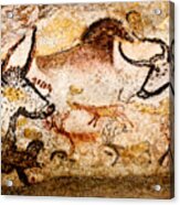 Lascaux Hall Of The Bulls - Deer Between Aurochs Acrylic Print