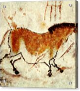Lascaux Prehistoric Horse Acrylic Print