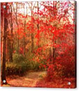 Last Color Of Fall Acrylic Print