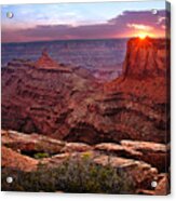 Last Light At Dead Horse Point Acrylic Print