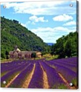 France - Senanque Abbey And Lavender Fields Acrylic Print