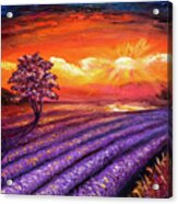 Lavender Field At Sunset Acrylic Print
