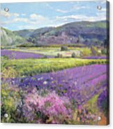 Lavender Fields In Old Provence Acrylic Print