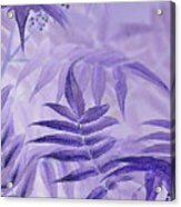 Lavender Leaves Acrylic Print
