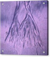 Lavender Sand Dancers Acrylic Print