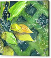 Leaf Pond Acrylic Print