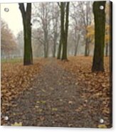 Leaves On The Path Acrylic Print