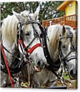 Lee's Ranch 9 Acrylic Print