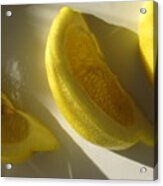 Lemon Slices Acrylic Print